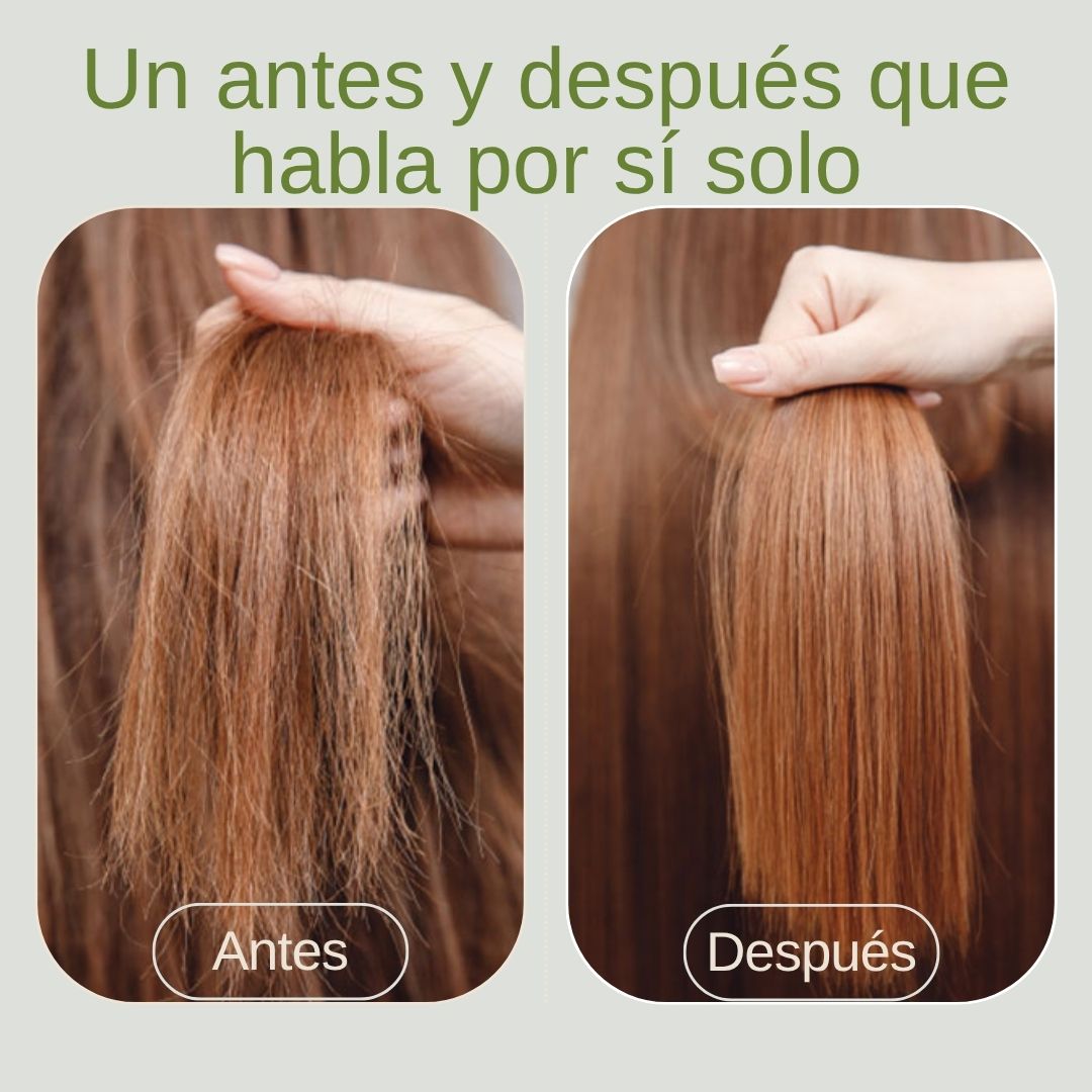 x4 Pack Escudo Capilar  (10%OFF + ENVÍO GRATIS)